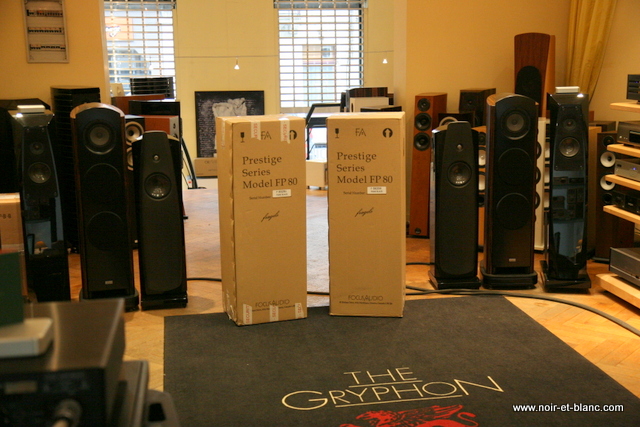 Focus Audio FP-80 SE
