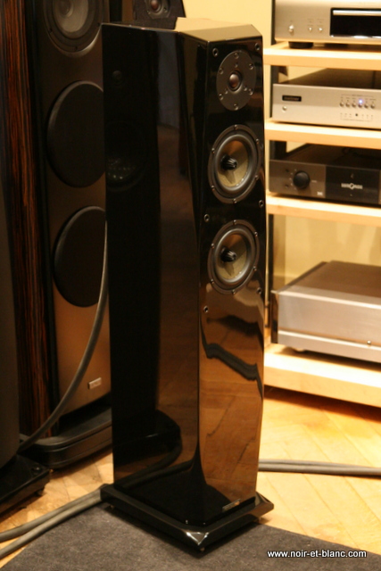 Focus Audio FP-80 SE