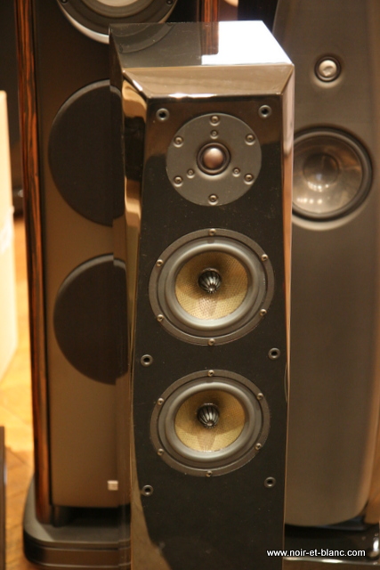 Focus Audio FP-80 SE