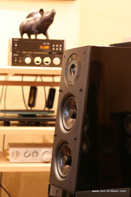 Audio Physic Avantera Plus