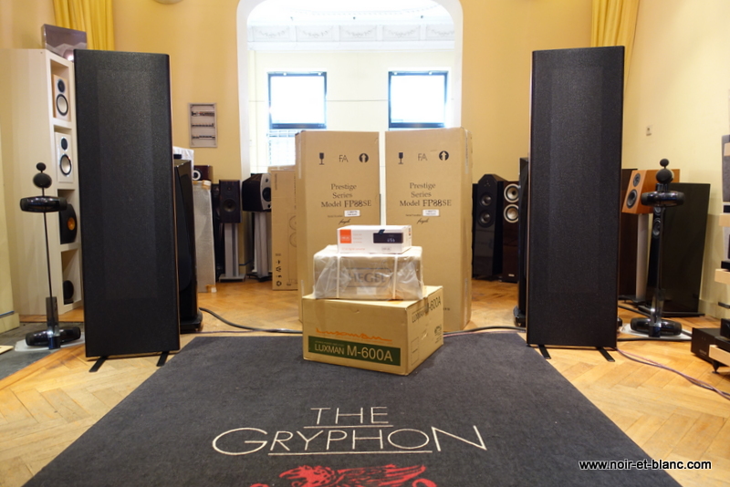 Hegel P20 + Focus Audio FP88SE