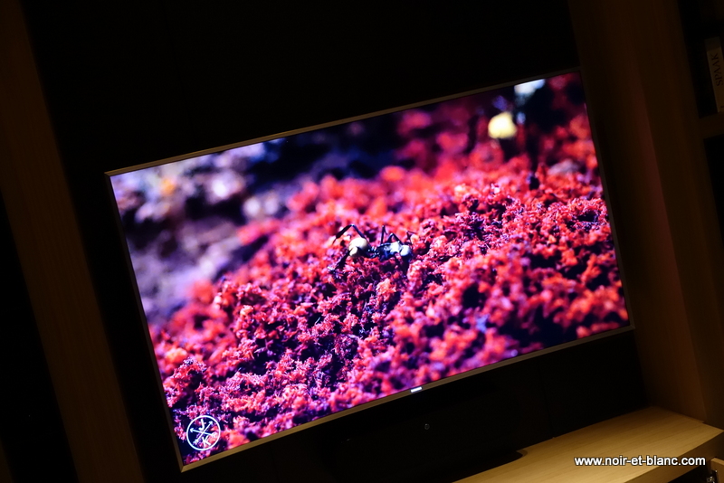 OPPO BDP-103D
