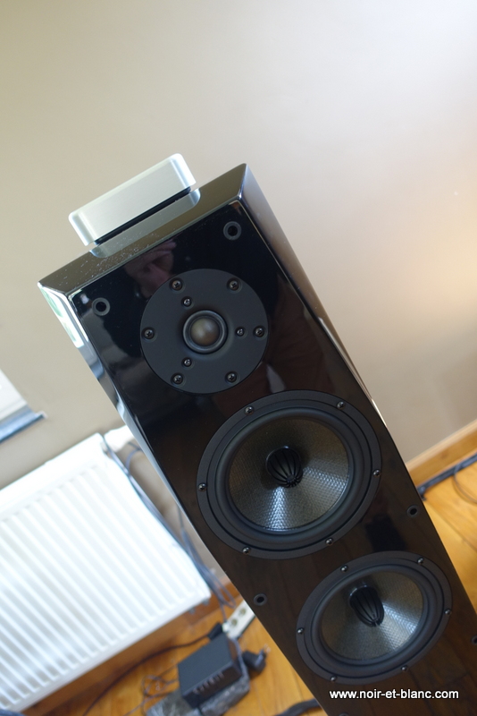 FOCUS AUDIO FP88SE