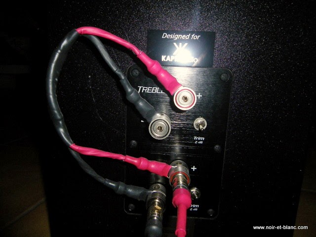 Legacy Audio Signature SE chez Noir et Blanc