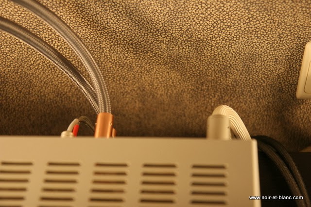 Organic Audio chez Noir et Blanc