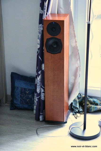 Totem + Hegel Audio chez Noir et Blanc