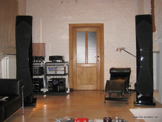 Focus Audio Master 2, Krell Evolution One, Krell Evolution 202, CEC Tl-1X, Michell Orbe, dCS Elgar + Purcell