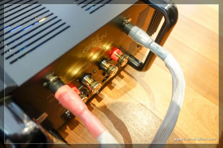 LEGATO AUDIO REFERENZA SUPERIORE